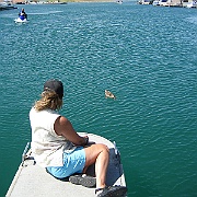 Picture 033